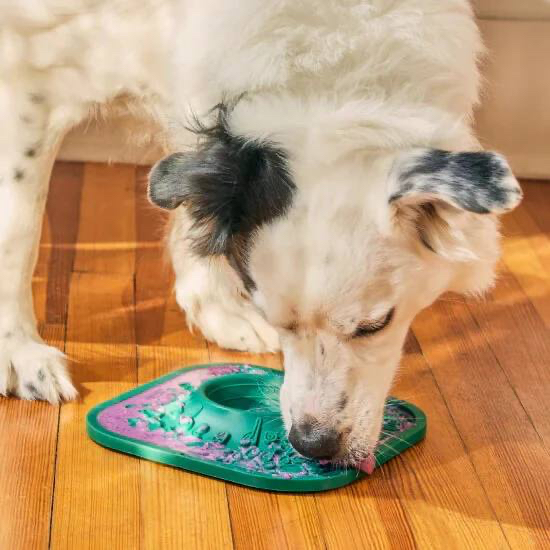 Dog using a lick mat on the floor