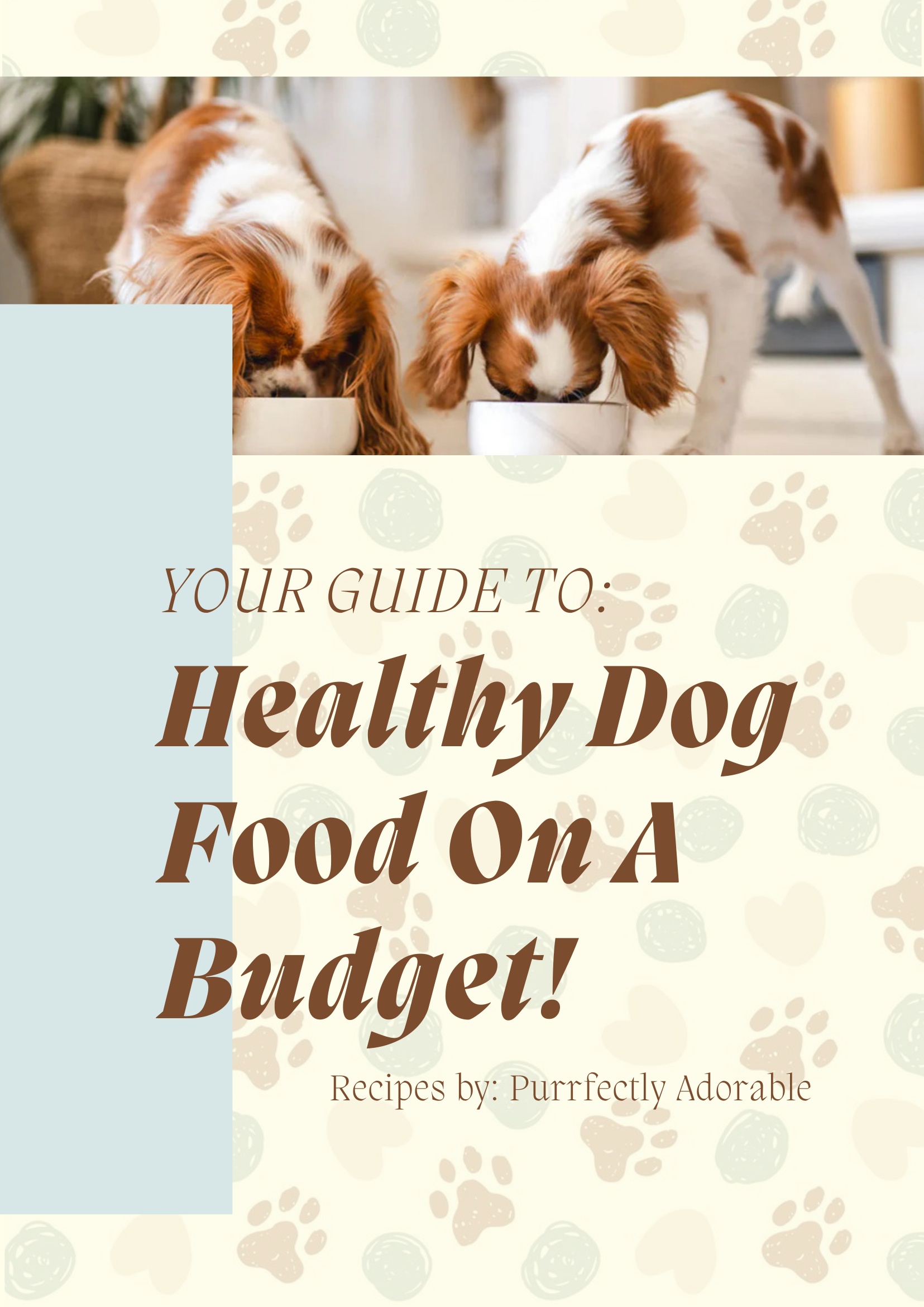 Healthy Dog Food on a Budget